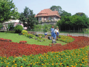 沙区多路段完成应季花卉更新及蔬菜种植工作